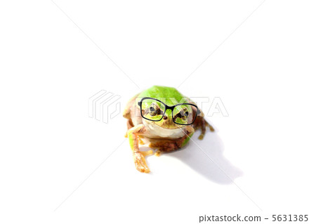 Frog wearing eyeglasses 5631385