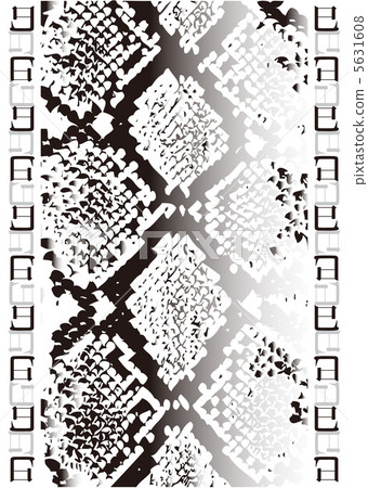 新年的卡2013年蛇黑色和白色 5631608