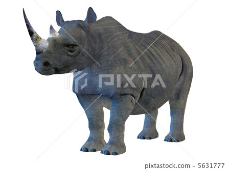 Rhino 5631777