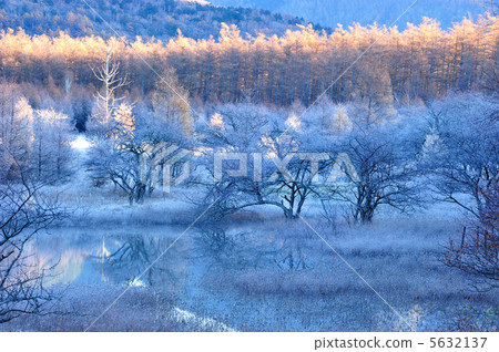 Odagahara沼澤落在早晨霜 5632137