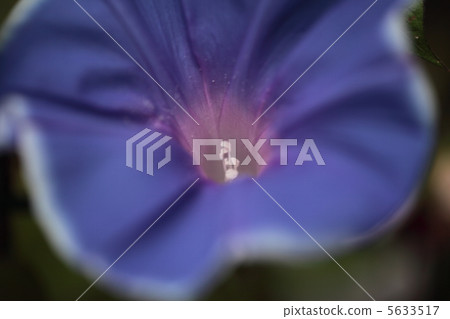 早晨的太陽 早晨的太陽 5633517