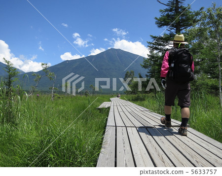 Tochigi Prefecture Senjohgahara Haiku August 5633757