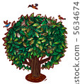 wood  5634674