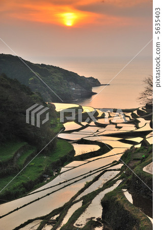 Sea of sunset and rice terrace Sea of sunset and rice terrace 5635403