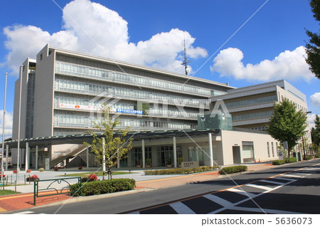 Ome City Hall 5636073