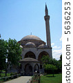 Mustafa · Pasina · Jamiya 5636253