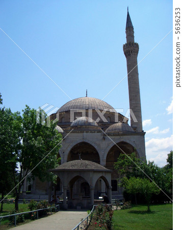 Mustafa · Pasina · Jamiya Mustafa · Pasina · Jamiya 5636253