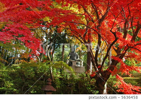 京都Kuroya Eikyuin秋葉 5636458