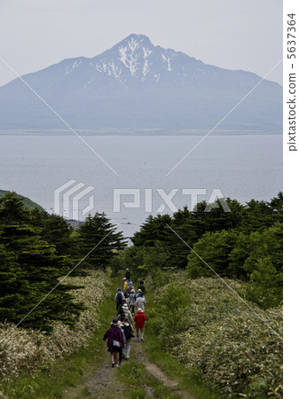 Rebun Island Summer 5637364