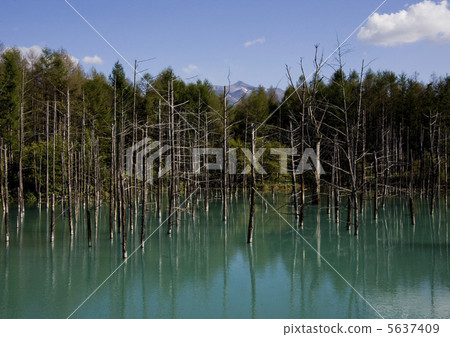 Biei Blue Pond 5637409