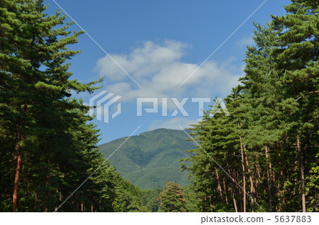 阿爾卑斯山Azumino公園 5637883