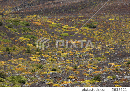 Foothill of Mount Fuji Foothill of Mount Fuji 5638521