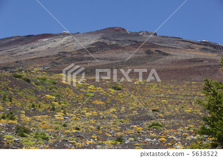 Foothill of Mount Fuji 5638522