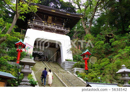 Eshima Shrine Zuishinmon (Fujisawa City, Kanagawa Prefecture) 5638542