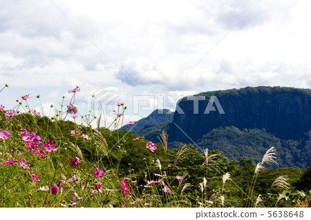 宇宙和Aroubayama 5638648