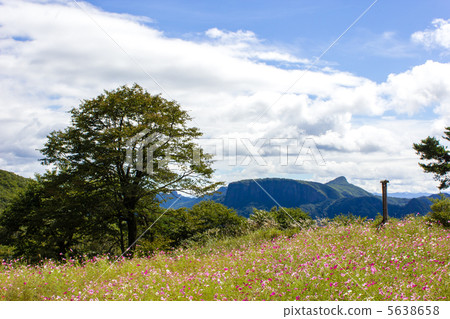 宇宙和Aroubayama 5638658