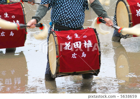 花田種植 5638659