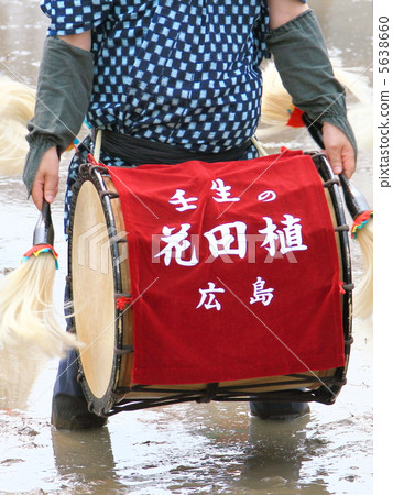 花田種植 5638660