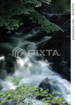 Fish stop waterfall Fish stop waterfall 5638704