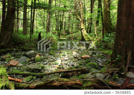 Sunlight through the sun and the river 5638891