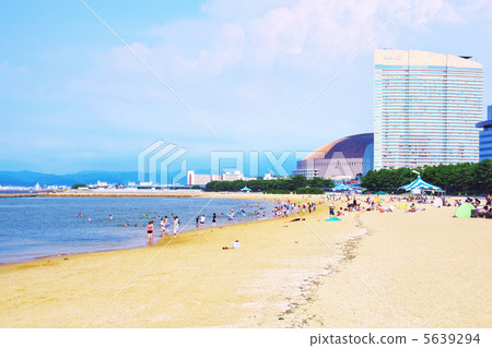 福岡的夏天 5639294