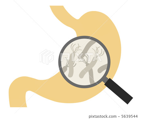 Helicobacter pylori 5639544