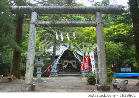 Kasugayama Shrine, torii 5639661