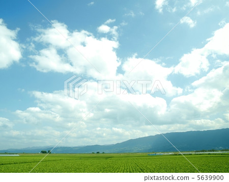  空 5639900