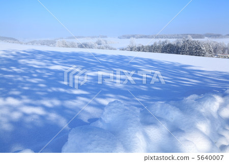 The scenery of the hills of Biei The scenery of the hills of Biei 5640007