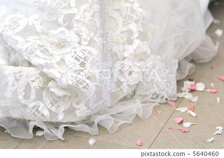 婚禮禮服婚禮圖像花陣雨 5640460