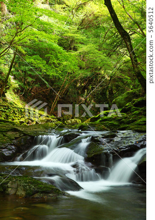 Red-Eyes Advance Falls 5640512