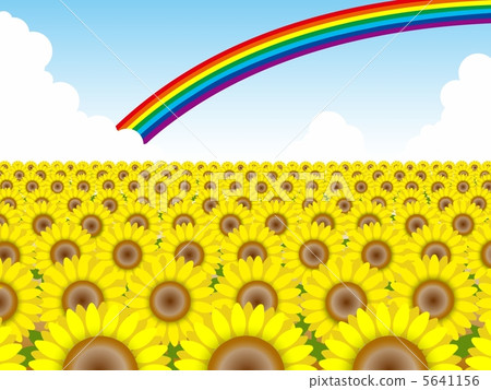 向日葵和彩虹№4 5641156