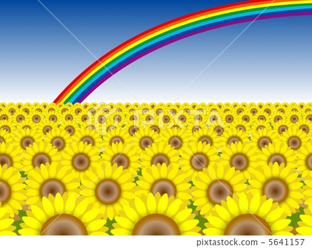 Sunflower and rainbow № 1 5641157