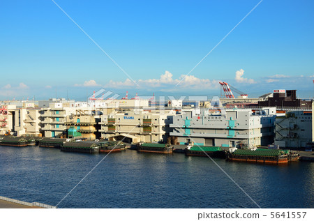 Miaya Head Miaya Head 5641557