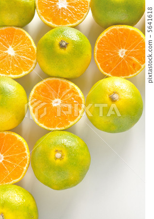 Mandarin orange  5641618