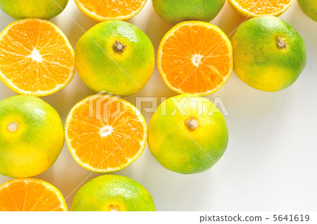 橘子 橘子 5641619