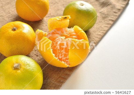 橘子 橘子 5641627