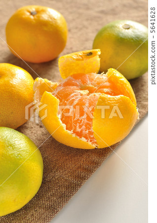 Mandarin orange  5641628