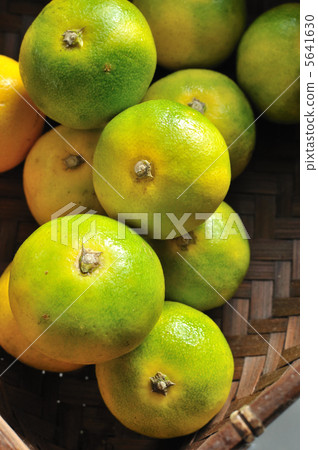 Mandarin orange in a basket Mandarin orange in a basket 5641630