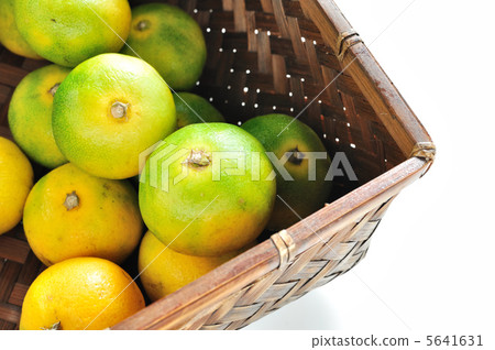 在籃子裡的橘子 在籃子裡的橘子 5641631