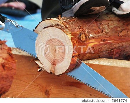 Saw log saw draw 5641774
