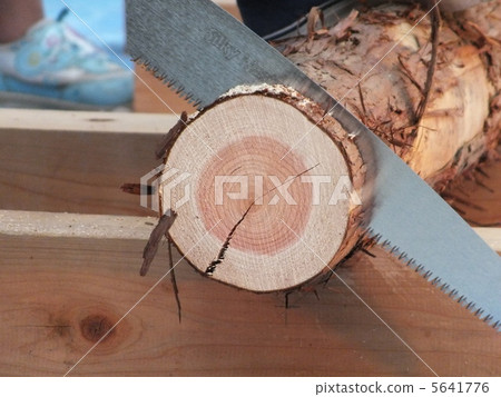 Saw log saw draw 5641776