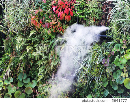 Mist sprayer 5641777