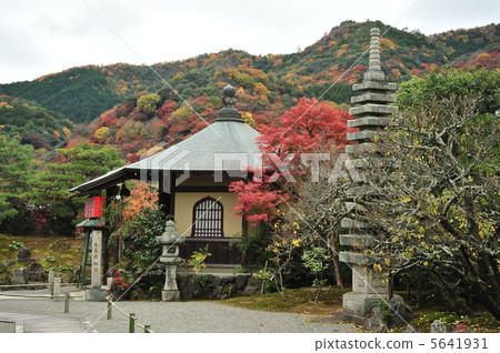 Kyoto Sanshu-in Temple: East-facing Daikokuten in autumn Kyoto Sanshu-in Temple: East-facing Daikokuten in autumn 5641931