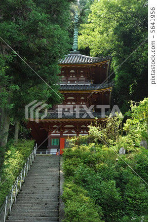 Nara Matsuoji Triple Tower 5641956