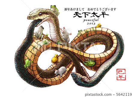 New Year cards 2013 Snakes on Moebius's Ring White Background 5642119