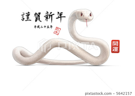 New Year cards 2013 White snakes 5642157