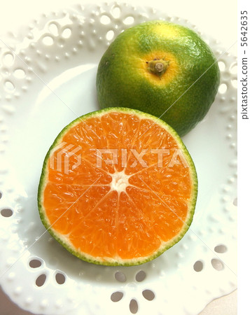 Winter taste of autumn oranges in the autumn Winter taste of autumn oranges in the autumn 5642635