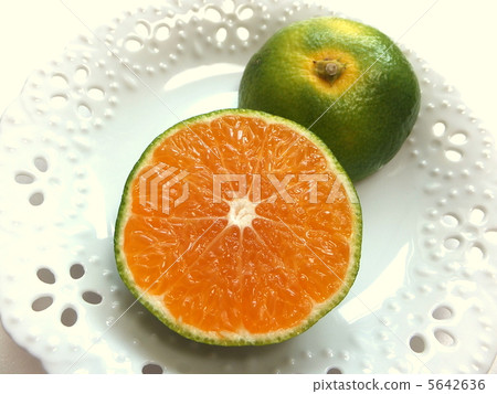 秋天桔子冬天口味在秋天 5642636