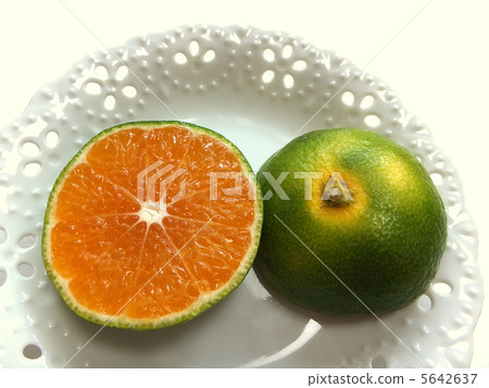 秋天桔子冬天口味在秋天 秋天桔子冬天口味在秋天 5642637